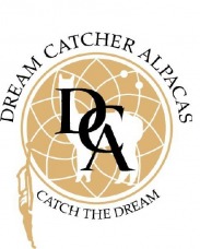 Dream Catcher Alpacas - Yarn and Fiber for Sale.